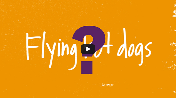 Flying Hot Dog 15s